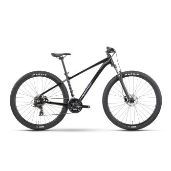 R Raymon Nayta 29" x L 21S TX800 black/iredesciant black
