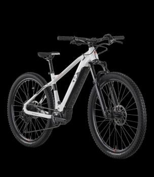 R Raymon HardRay E 7.0 29"x45cm 12S SX 22/23 Y-X3-A-i630 white/black/b.red