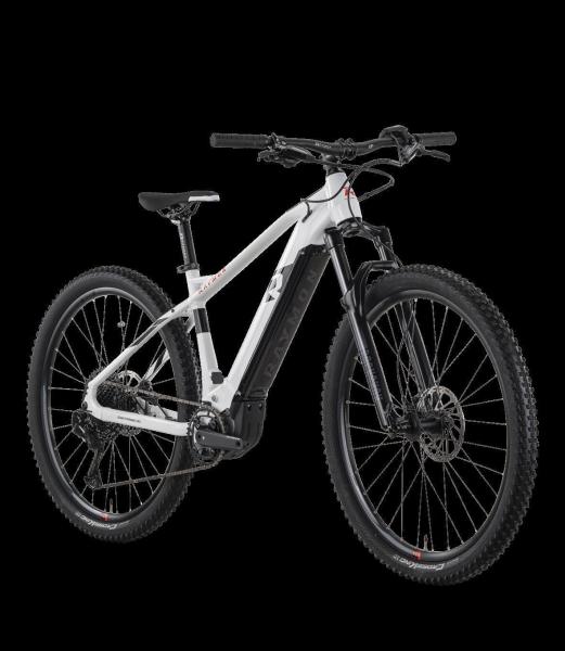 R Raymon HardRay E 7.0 29"x50cm 12S SX 22/23 Y-X3-A-i630 white/black/b.red